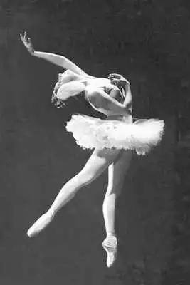 Play Ballet dancer Wallpapers HD