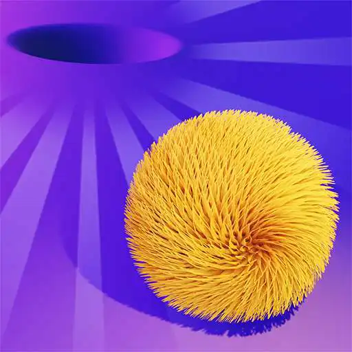 Play Balls in the Hole! APK