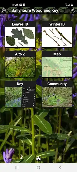 Play Ballyhoura Woodland Key  and enjoy Ballyhoura Woodland Key with UptoPlay