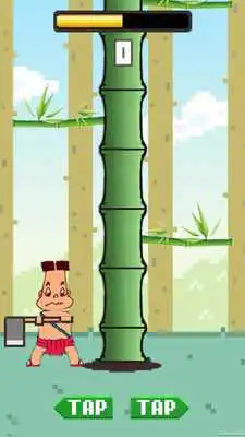 Play Bamboo 100