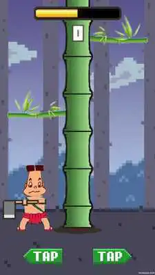 Play Bamboo 100