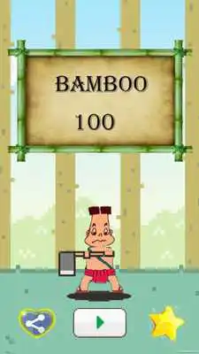 Play Bamboo 100