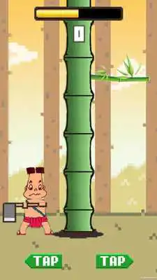 Play Bamboo 100