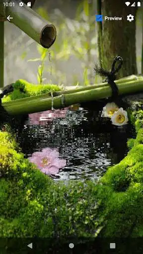 Play Bamboo Flower Water LWP as an online game Bamboo Flower Water LWP with UptoPlay