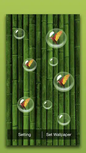 Play Bamboo Forest Live Wallpaper as an online game Bamboo Forest Live Wallpaper with UptoPlay