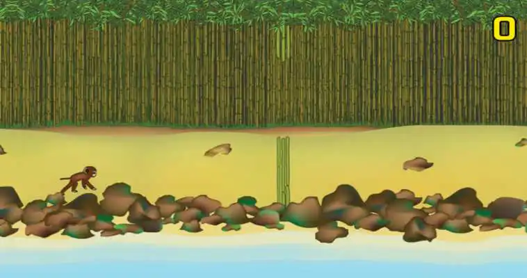 Play Bamboo Monkey