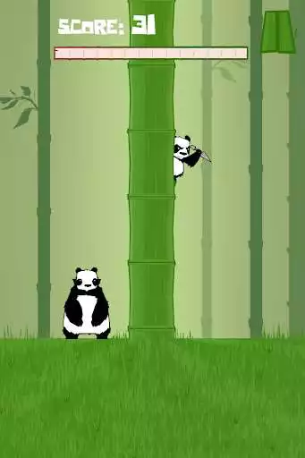 Play Bamboo Panda Play Bamboo Panda