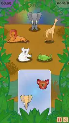 Play BAM! Safari Rush