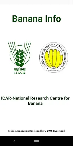 Play Banana Info and enjoy Banana Info with UptoPlay Play Banana Info and enjoy Banana Info with UptoPlay