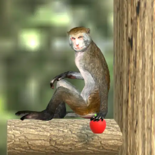 Play Bandar Wala Game APK Play Bandar Wala Game APK
