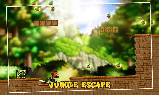 Play Bandicoot Adventure Jungle World