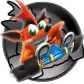 Free play online Bandicoot Color Adventure World APK