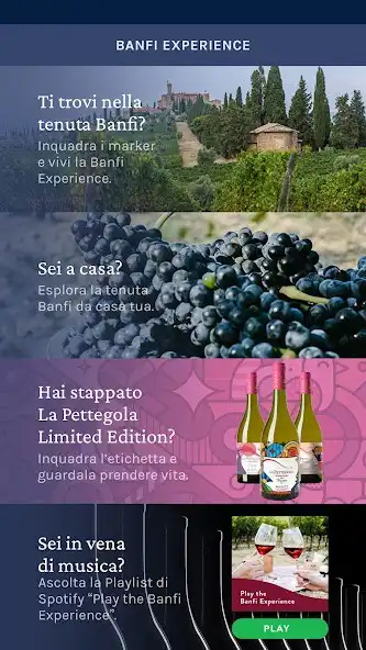 Play Banfi Experience as an online game Banfi Experience with UptoPlay