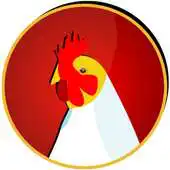 Free play online Bangladesh Poultry APK Free play online Bangladesh Poultry APK