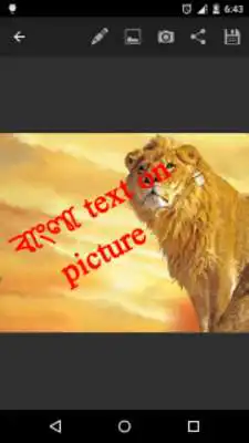 Play bangla text on picture