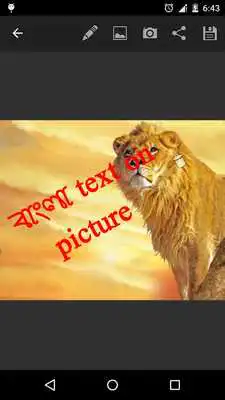 Play bangla text on picture