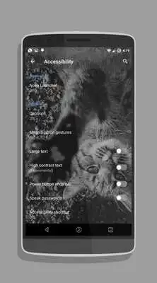 Play BannuZ Cm12.1 / RR  theme