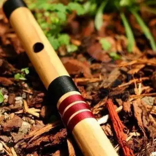 Play Bansuri Ringtones  Wallpapers APK