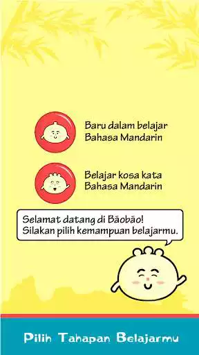 Play BaoBao