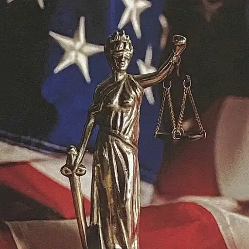 Play Bar Exam Essay Rules APK