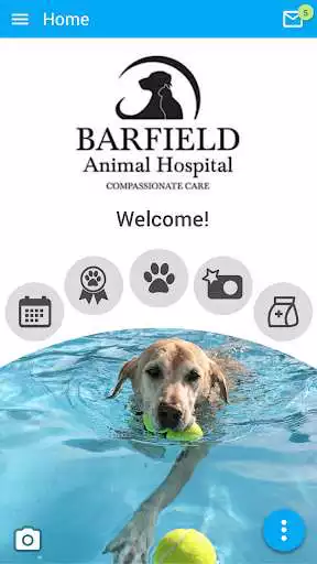 Play Barfield Vet