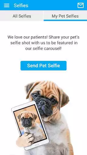Play Barfield Vet