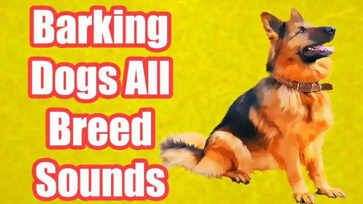 Play Barking Dogs of All Breeds