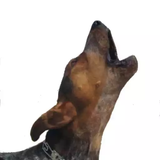 Play Barking Dog Sounds APK Play Barking Dog Sounds APK