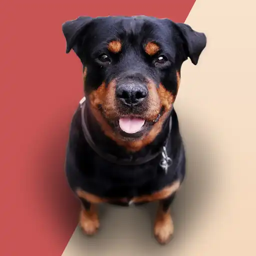 Play Barking Dog Sounds Ringtones APK
