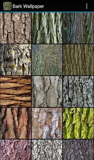 Play Bark Wallpaper and enjoy Bark Wallpaper with UptoPlay Play Bark Wallpaper and enjoy Bark Wallpaper with UptoPlay
