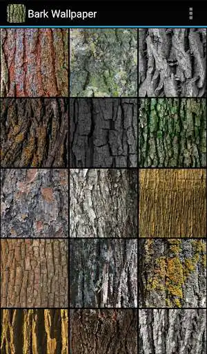 Play Bark Wallpaper as an online game online Bark Wallpaper with UptoPlay Play Bark Wallpaper as an online game Bark Wallpaper with UptoPlay