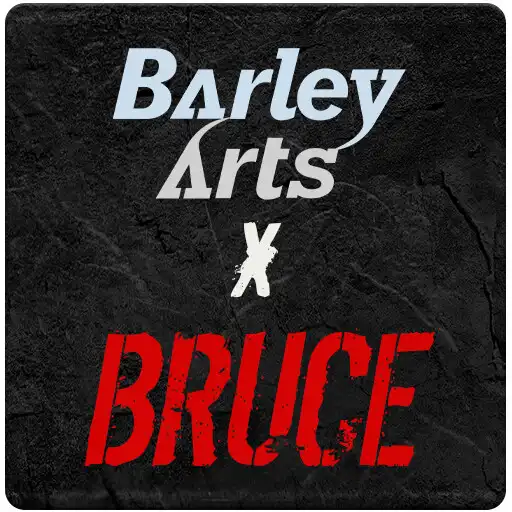 Play Barley Arts X Bruce APK Play Barley Arts X Bruce APK
