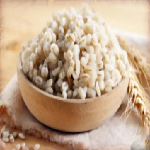Play Barley For Diet APK Play Barley For Diet APK