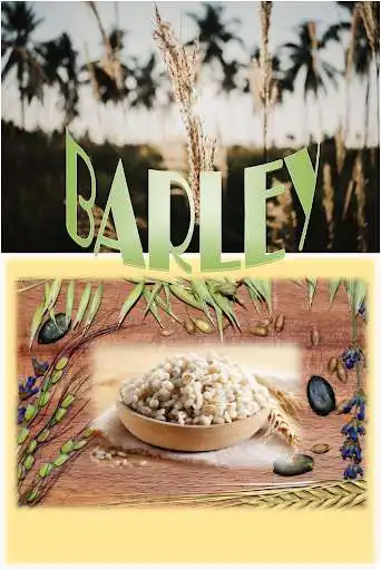 Play Barley For Diet  and enjoy Barley For Diet with UptoPlay