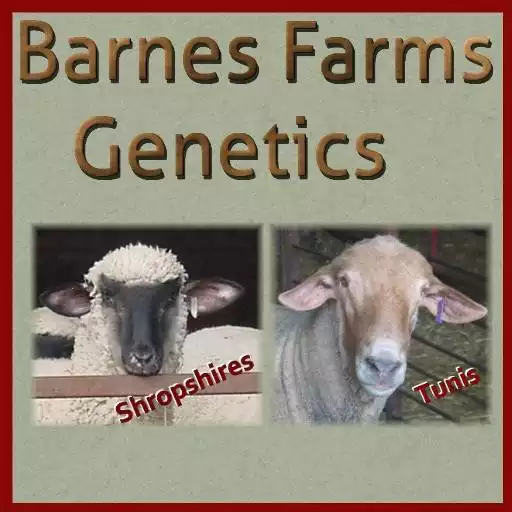 Play Barnes Farms Genetics APK