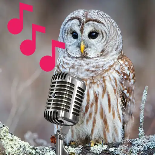Play Barred Owl sounds and calls APK Play Barred Owl sounds and calls APK