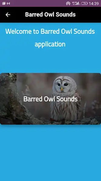 Play Barred Owl sounds and calls as an online game Barred Owl sounds and calls with UptoPlay