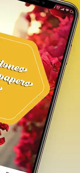 Play Barsat Ki Dhun Ringtone as an online game Barsat Ki Dhun Ringtone with UptoPlay