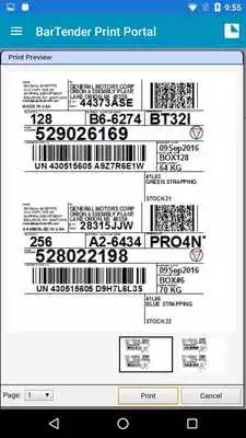 Play BarTender Print Portal App