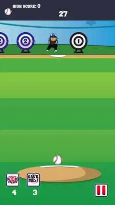 Play Baseball Expert Pitch