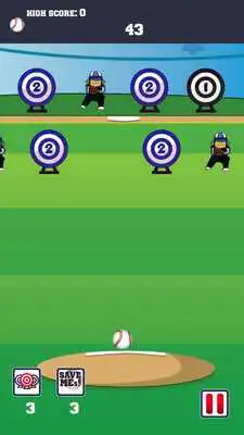 Play Baseball Expert Pitch