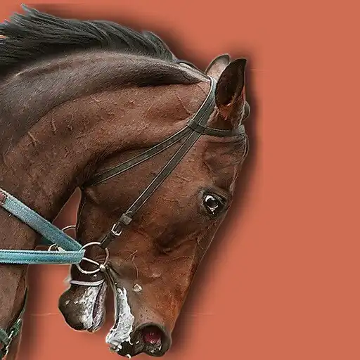 Play Base Quinté APK