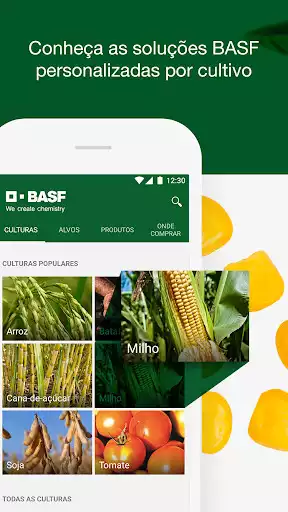 Play BASF Agro