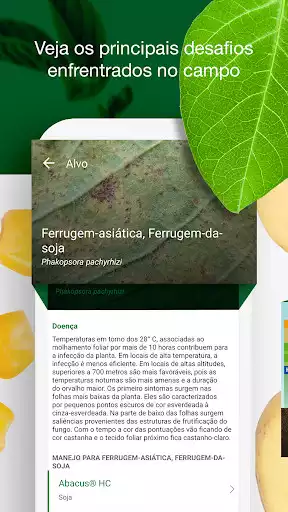 Play BASF Agro