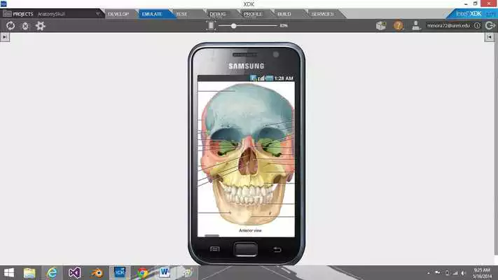 Play Basic Anatomy of a Skull Play Basic Anatomy of a Skull