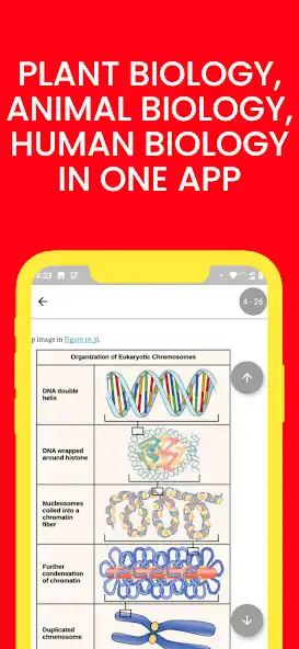 Play BASIC BIOLOGY - KNOWLEDGE ON THE GO - NO ADS as an online game BASIC BIOLOGY - KNOWLEDGE ON THE GO - NO ADS with UptoPlay