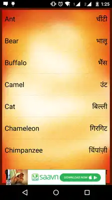 Play Basic English Hindi Vocab Play Basic English Hindi Vocab