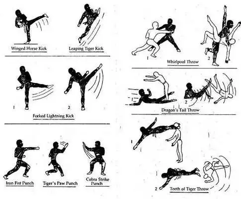 Play basic foundation of martial arts