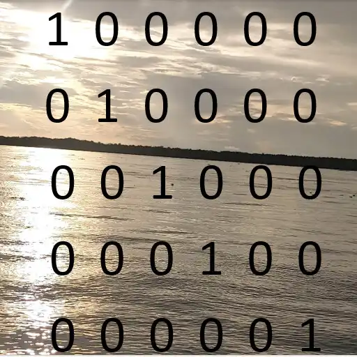 Play Basic Inverse Matrix APK Play Basic Inverse Matrix APK