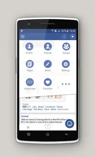 Play Basic Lite For Facebook